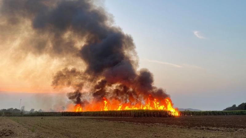 Lángoszlopok emelkedtek a kecskeméti repülőtér közelében, ahol katonai egységek léptek akcióba, hogy megfékezzék a pusztító tüzet.