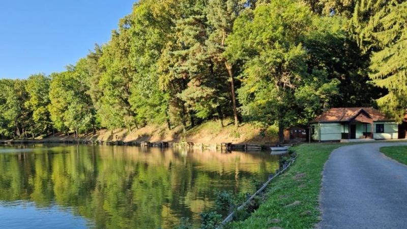 Kaposvár környéke az ősz varázslatos színeivel ragyog, mintha a természet festővásznát egy mesés palettával töltenék meg. Az aranyló falevelek a fák ágairól szóródnak, miközben a levegőben a hűvös szellő lágyan fújdogál, és a tájat egy különleges, nosztal