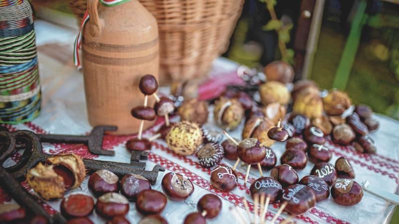 Az őszi időszak egyik különleges ajándéka nem csupán a gyerekek szórakozását szolgálja, hanem számos más lehetőséget is kínál. A színes falevelek és a természet változatos szépsége lehetőséget ad arra, hogy kreatívan töltsük el az időt, felfedezzük a körn