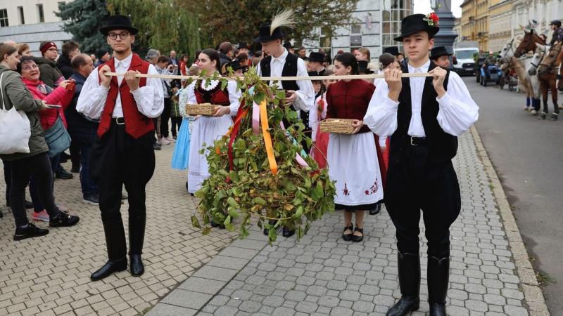 Hihetetlenül jól sikerült az első MustFeszt Miskolcon - nézd meg a fotókat és videókat!