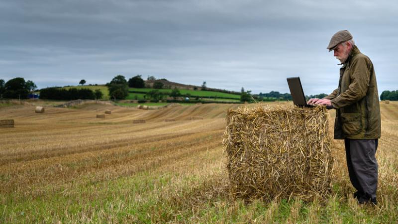 Pécsi erőmű biomasszából származó bálázott tüzelőanyagot vásárol, ezzel támogatva a megújuló villamos- és távhőtermelést. Az Agrárszektor hírei alapján a fenntartható energiaforrások felhasználása egyre nagyobb szerepet kap a modern energiarendszerekben.