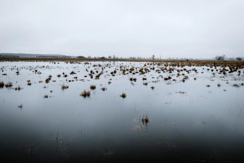 Hazánk negyedik Vízgyűjtő-gazdálkodási Terve készítése folyamatban van, amely a fenntartható vízgazdálkodás érdekében fontos lépés. A terv célja, hogy hatékonyan kezeljük vízkészleteinket, és megőrizzük természeti értékeinket a jövő generációi számára. A 