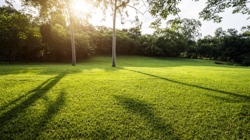 Ha van gyep a kertedben, ezt érdemes alaposan átgondolnod - Agro Napló